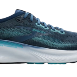 brooks adrenaline gts25 moonlight